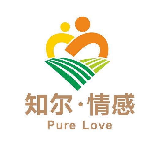 心理咨询、教育咨询与婚姻介绍服务的行业边界与实践思考